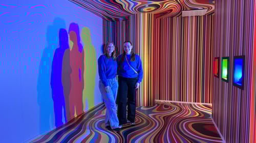 Paradox Museum Työntekijät