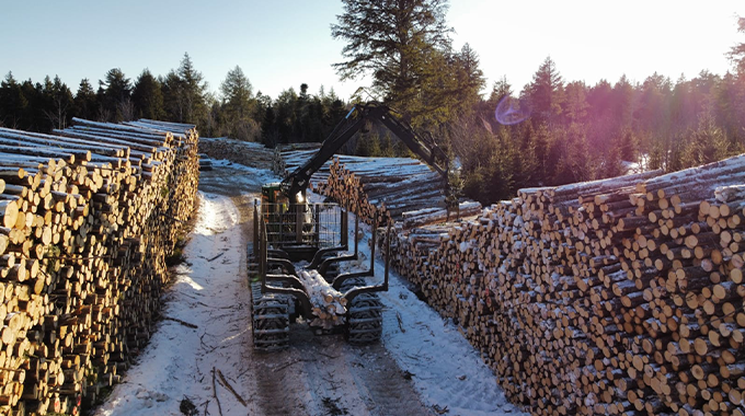 Metsäkonekuskina Kanadassa – näin haku onnistui ja tällaista työ on